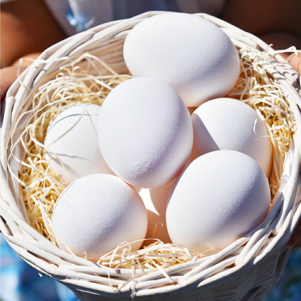 【ふるさと納税】ブランド卵 満月 80個入 卵 セット 岡山 倉敷市