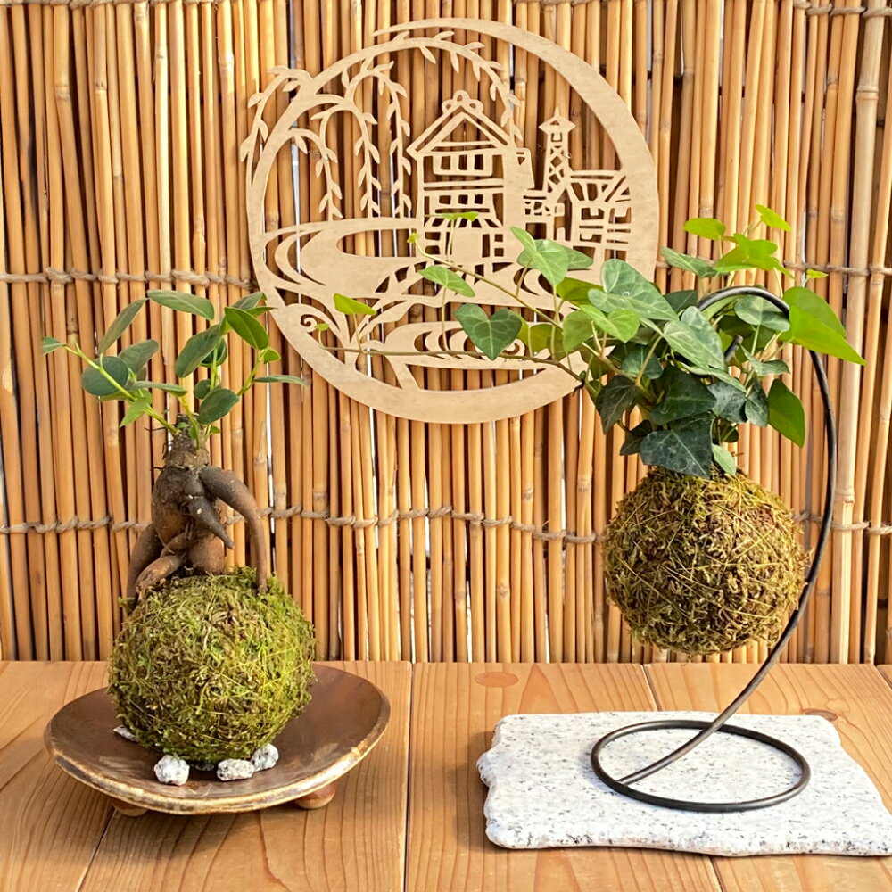 【ふるさと納税】倉敷グリーンファーム 【苔玉づくり】ペア体験チケット（1個ずつ制作 or 2個ずつ制作）　体験チケット・苔玉づくり・ペア体験・手作り