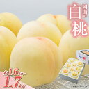 【ふるさと納税】桃 2025年 先行予約 岡山 の 白桃 <選べる>6玉(合計1.6kg以上)/ 8玉(合計1.7kg以上) 化粧箱入り もも モモ 岡山県産 国産 フルーツ 果物 ギフト 果物 フルーツ デザート 食後 上品な甘み とろける 産地直送 【2025年7月上旬~2025年8月上旬】