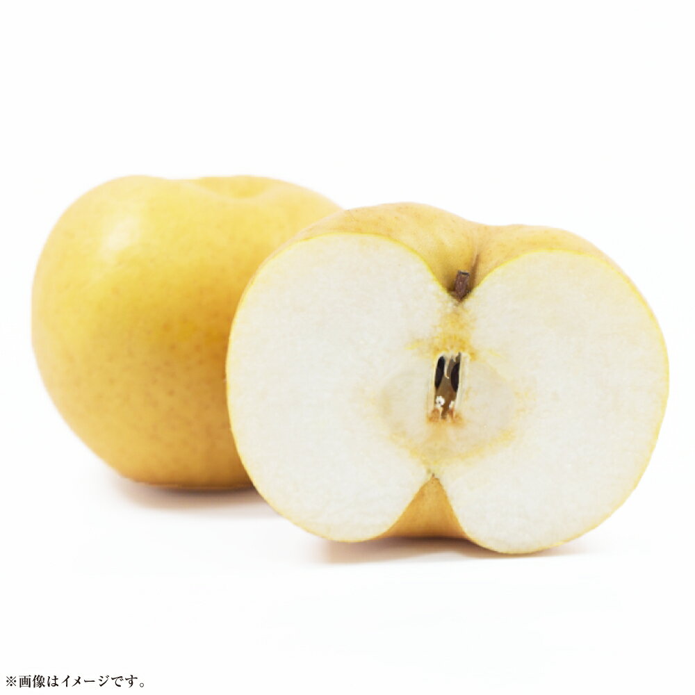 [先行予約]あたご梨 4〜7玉(約4kg) 化粧箱入り なし ナシ 岡山県産 国産 フルーツ 果物 ギフト 倉敷市[2025年11月下旬〜12月下旬 発送予定]