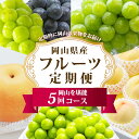 【ふるさと納税】《5回定期便》フルーツ 定期便 2025年 先行予約 フルーツ王国 岡山の果物 5回コース 夏〜冬物語 桃 もも 葡萄 ぶどう 梨 なし岡山県産...