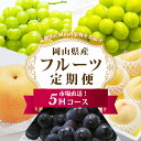 【ふるさと納税】《5回定期便》フルーツ 定期便 2025年 先行予約 フルーツ王国 岡山を堪能 5回コース 桃 もも 葡萄 ぶどう 梨 なし岡山県産 国産 果物...