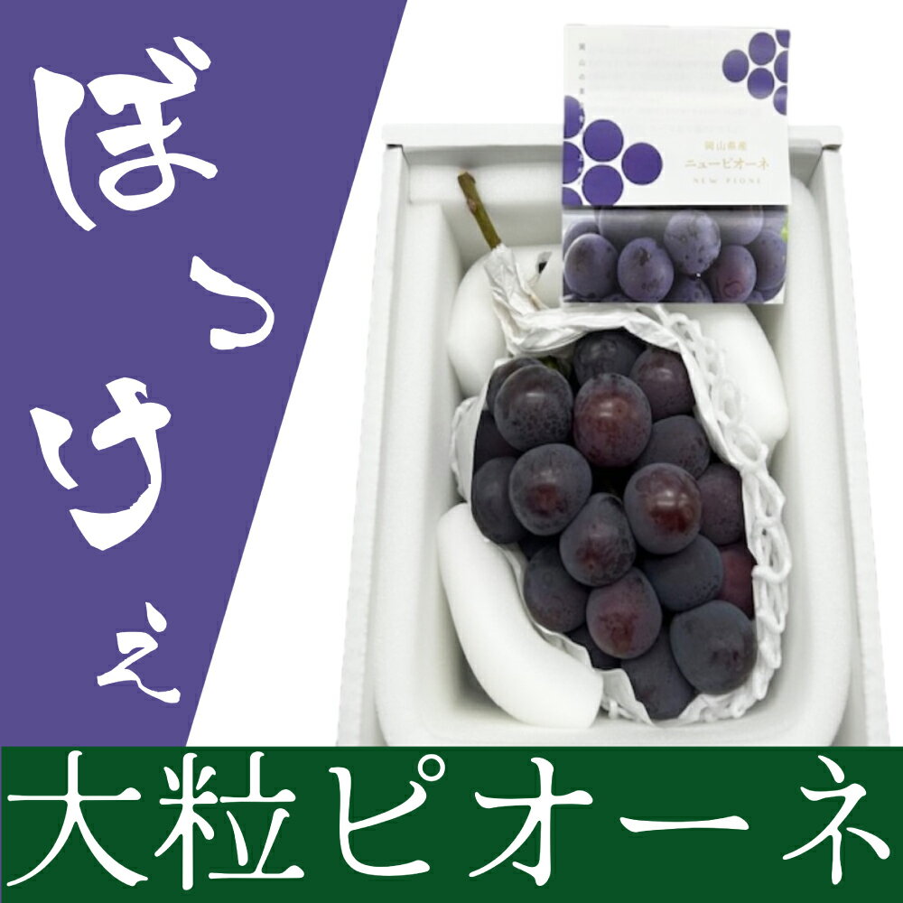 【ふるさと納税】【2025年9月上旬～10月上旬 発送予定】《先行予約》ぼっけえ 大粒 ニューピオーネ 1房（800g以上） 化粧箱入り 化粧箱入り ブドウ 葡萄 岡山県産 国産 フルーツ 果物 ギフト　倉敷市　お届け：2025年9月上旬～2025年10月上旬
