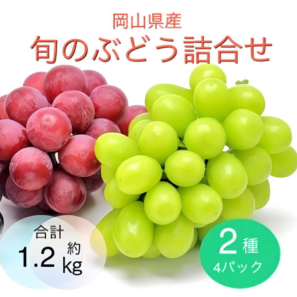 【ふるさと納税】《先行予約》 旬のぶどう詰合せ 2種（4パック）セット（シャインマスカット晴王 1房×2パック、旬のぶどうお任せ 1房×2パック）【2025年9月上旬～11月下旬 発送予定】