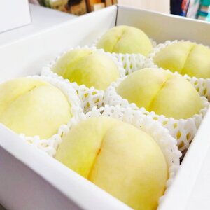 【ふるさと納税】【先行予約】岡山白桃 約1.5kg(6玉前後)【もも 桃 清水白桃 白桃 果物 フルーツ 国産 人気 おすすめ 岡山県 倉敷市】 送料無料【2026年7月上旬~7月下旬迄順次発送予定】