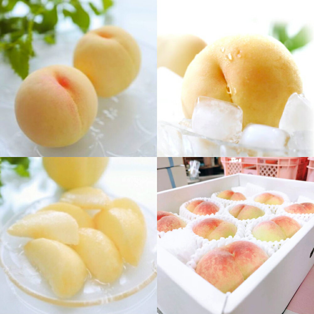 【送料無料】清水白桃の缶詰(4ツ割)（6缶入り）（御熨斗対応・・御進物、御祝、御見舞、内祝）【吉英フルーツ】