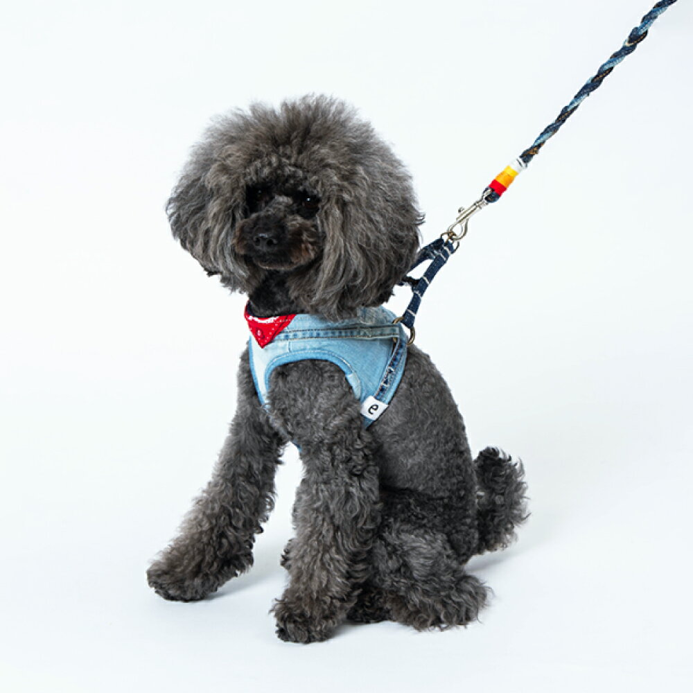 愛犬用リード「デニリード」 雑貨・日用品・愛犬用リード・リード・ペット散歩用品