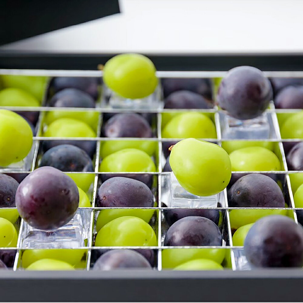 ぶどうの宝石箱(シャインマスカットとニューピオーネ又はオーロラブラック) 36粒(1粒14g以上) 1箱 贈答用 ぶどう ブドウ 葡萄 くだもの 果物 果実 フルーツ ギフト 冷蔵 国産 岡山県産 倉敷市 送料無料 [2026年8月下旬〜2026年9月下旬迄順次発送予定]