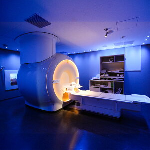 【ふるさと納税】宿泊人間ドック(胃内視鏡検査・昼夕食付)倉敷中央病院付属予防医療プラザ チケット 医療