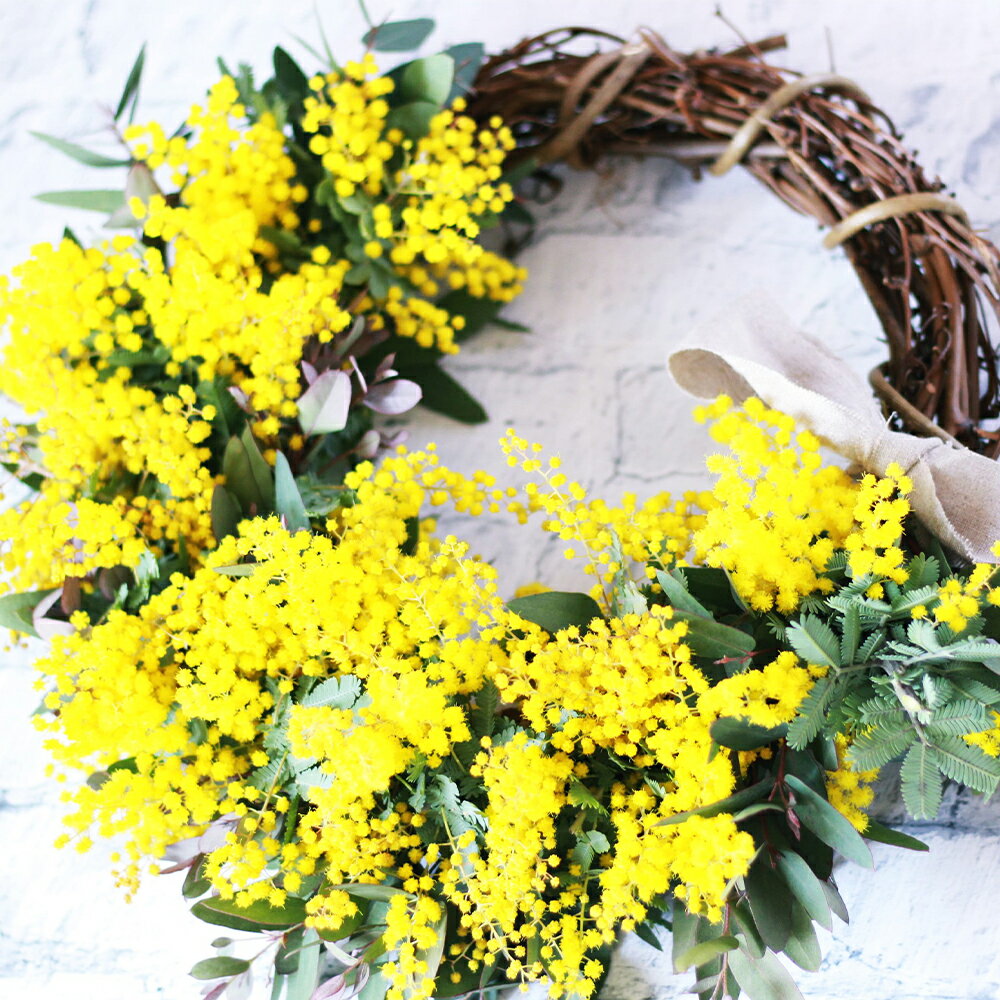 フレッシュ ミモザ ハーフムーンリース L 花 生花 インテリア ミモザ リース お花 フラワーアレンジメント[2026年2月下旬〜3月下旬 発送予定]