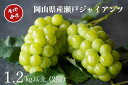 【ふるさと納税】厳選 瀬戸ジャイアンツ 2房 合計1.2kg以上 産地直送 朝採れ ぶどう 葡萄 K ...