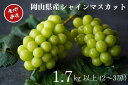 【ふるさと納税】シャインマスカット 2〜3房 合計1.7kg以上 産地直送 朝採れ ぶどう 葡萄 シャイン マスカット 岡山 Kawahara Green Fa...