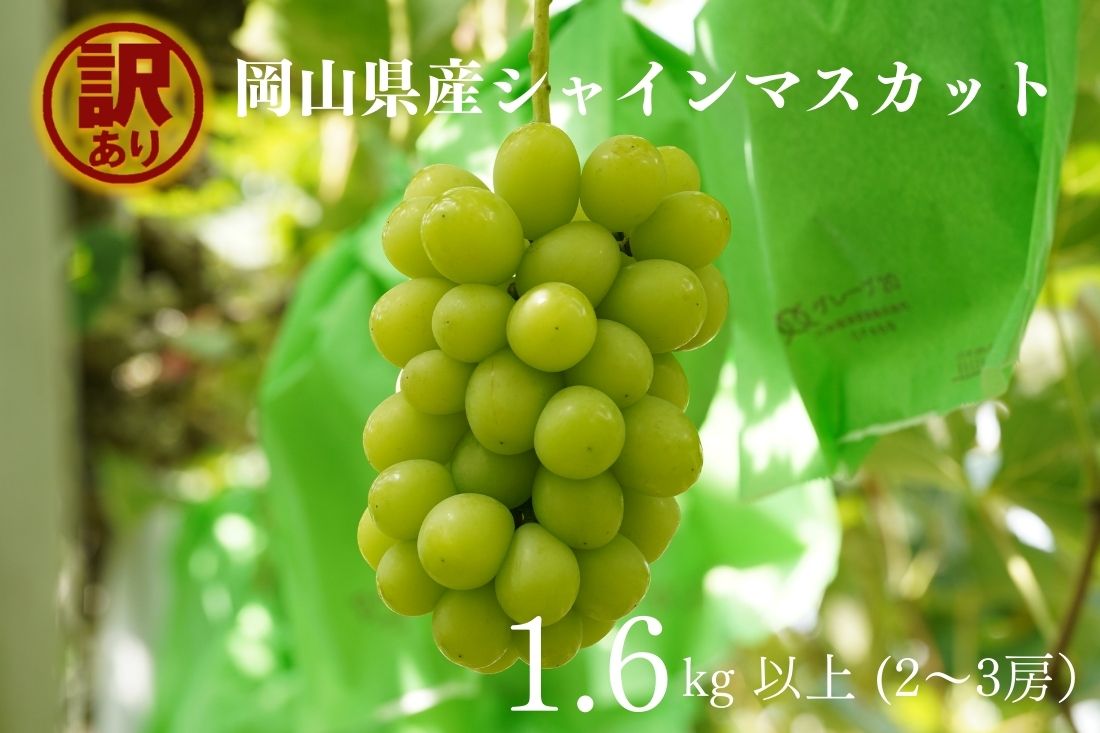 ڤդ뤵Ǽǡ 㥤ޥå 23˼ 1.6kgʾ ľ īΤ ֤ɤ ƺ 㥤 ޥå Υ֥ɥ...