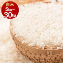 【ふるさと納税】令和7年産 きぬむすめ (白米) 5kg 10kg 20kg 30kg 選べる 容量 岡山県産 白米 米 お米 倉敷市【2025年10月上旬より発送開始】