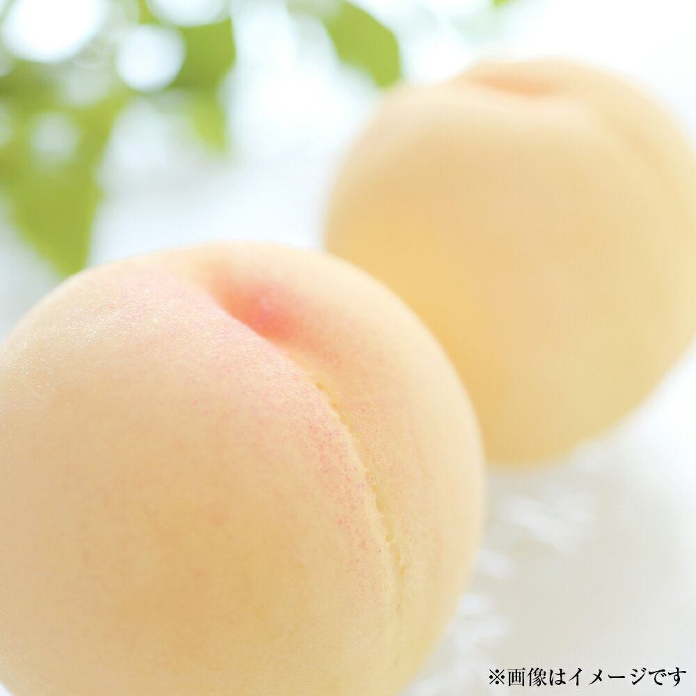 【ふるさと納税】【訳あり】岡山白桃（家庭用） 1.2kg以上 サイズ不揃い ブランド桃 モモ はなよめ 白鳳 清水白桃 白麗 白皇 恵白 くだもの 果物 果実 フルーツ 冷蔵 岡山県産 国産 岡山県 倉敷市 送料無料 【2025年7月上旬～2025年8月下旬迄発送】のサムネイル
