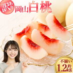 【ふるさと納税】【訳あり】袋掛け 岡山白桃 サイズ不揃い 4~7玉 1.2kg以上 家庭用 ブランド桃 モモ はなよめ 白鳳 清水白桃 白麗 白皇 恵白 白露 くだもの 冷蔵 岡山県産 国産 岡山県 倉敷市 送料無料 【2026年7月上旬~2026年9月上旬まで発送】10000円 1万円