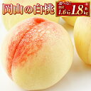 【ふるさと納税】山の白桃 200g 以上× 8玉 250g 以上× 6玉 300g 以上× 6玉 <選べる容量>桃 2025年 先行予約 岡 白桃 もも モモ 旬 晴れの国 おかやま 岡山県産 フルーツ王国 果物王国 果物 くだもの フルーツ デザート おやつ【2025年9月上旬~10月下旬 発送予定】