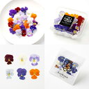 【ふるさと納税】エディブルフラワービオラMIX(20輪入り)2種4パックセット【食べられるお花 栽培期間中 農薬不使用】 食用花 農薬不使用 ギフト サプライズ