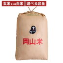 【ふるさと納税】米 備前乙女米 玄米・白米 2kg・4kg・5kg・10kg・20kg・30kg 1袋・2袋 岡山県産 石原果樹園 <選べる種類・内容量> 【 主食 ご飯 乳酸菌栽培 お弁当 おにぎり 適した 品種 】【2025年10月下旬~2026年9月下旬迄発送予定】