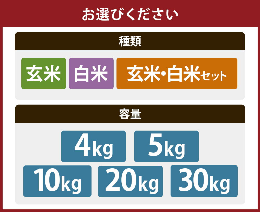 【ふるさと納税】米 備前乙女米 玄米・白米 4kg・5kg・10kg・20kg・30kg 1袋・2袋 岡山県産 石原果樹園 ＜選べる種類・内容量＞ 【 主食 ご飯 乳酸菌栽培 お弁当 おにぎり 適した 品種 】【2025年11月下旬～2026年9月下旬迄発送予定】