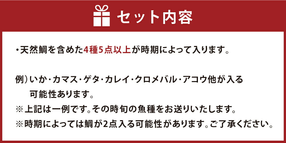 【ふるさと納税】【倉敷市下津井産】おまかせ一夜干し 4種 5点セット 天然鯛 タイ いか カマス ゲタ カレイ クロメバル アコウ 魚 さかな 魚介類 水産物 海産物 ひもの 干物 冷凍 岡山県産 国産 岡山県 倉敷市 送料無料