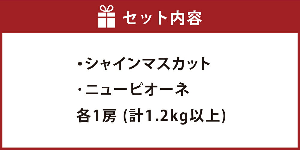【ふるさと納税】種無し ぶどう詰合せ シャインマスカット ニューピオーネ 各1房 計2房（合計1.2kg以上） ぶどう ブドウ 葡萄 種なし フルーツ 果物 果実 くだもの 詰め合わせ セット 冷蔵 岡山県産 国産 岡山県 倉敷市 送料無料 【2026年9月上旬～10月上旬迄順次発送予定】