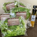 【ふるさと納税】<選べるセット内容>【Ortolano】ファーストクラスのサラダ&セロリドレッシングセット S-1 / S-2 ファーストクラスカットサラダ お...