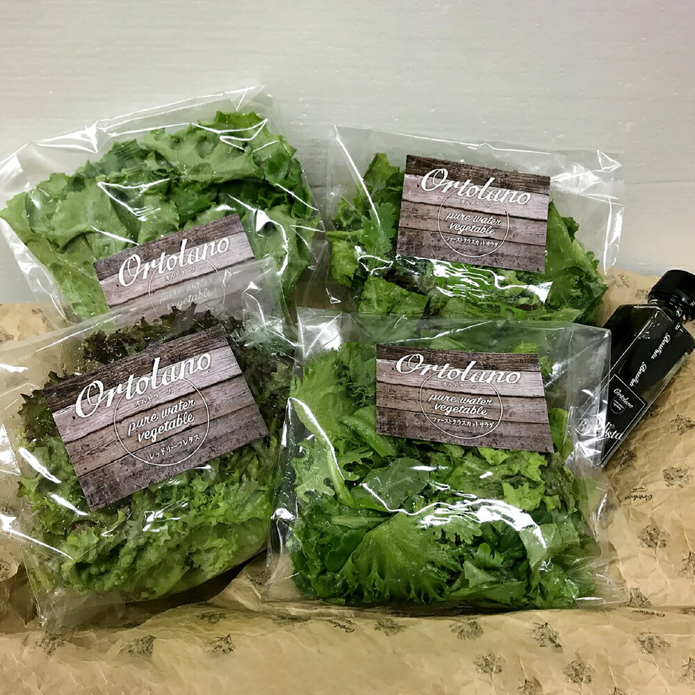 [選べる定期便][Ortolano]野菜 定期便 1ヶ月毎 3回 / 6回 / 12回 ファーストクラスカットサラダ おすすめ野菜 バジリスタイタリアンドレッシング サラダセット やさい サラダ バジル 調味料 冷蔵 岡山県 倉敷市 送料無料