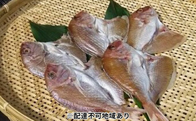 【ふるさと納税】天然鯛の一夜干し5尾（1尾約180g～200g）【配達不可：離島】　【魚貝類・タイ・鯛・干物・鯛の一夜干し・真鯛・マダイ】