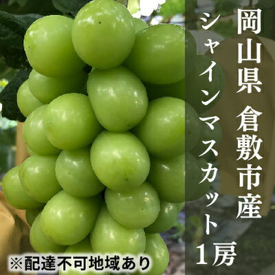 【ふるさと納税】 ぶどう 2024年 先行予約 シャイン マスカット 1房（1房600g前後） 産地直送 ブドウ 葡萄 岡山県産 国産 フルーツ 果物 ギフト たけまさぶどう園　【果物類・ぶどう・マスカット・フルーツ】　お届け：2024年9月上旬～2024年9月下旬