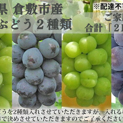 ぶどう 2024年 先行予約 ご家庭用 旬の ぶどう 2種類 合計2kg以上 産地直送 ブドウ 葡萄 岡山県産 国産 フルーツ 果物 たけまさぶどう園 [果物・ぶどう・フルーツ] お届け:2024年8月上旬〜2024年9月下旬