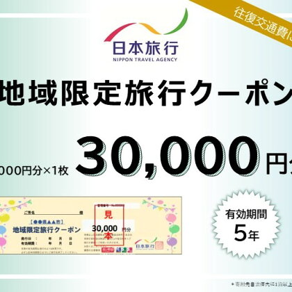 日本旅行 地域限定旅行クーポン【30,000円分】　【 チケット 旅行 宿泊 宿泊券 旅行クーポン 家族旅行 一人旅 】