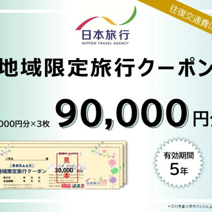 日本旅行 地域限定旅行クーポン【90,000円分】　【 チケット 旅行 宿泊 宿泊券 旅行クーポン 家族旅行 一人旅 】