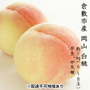 【ふるさと納税】桃 2024年 先行予約 白桃 約2kg（6～8玉）早生 中生種 もも モモ 岡山県 倉敷市 産 国産 フルーツ 果物 ギフト 花田青果 【果物 もも 桃 フルーツ】 お届け：2024年7月上旬～2024年7月中旬