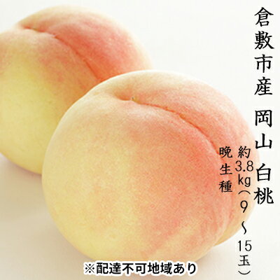 【ふるさと納税】桃 2024年 先行予約 白桃 約3.8kg