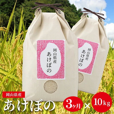 名称精米内容量岡山県産 あけぼの 精米 10kg×3ヶ月（※10kg→5kg×2袋） 岡山県内産（5条8号ハ）産地岡山県品種／産年／使用割合あけぼの/-/単一原料米精米時期別途ラベルに記載販売者佐藤商店岡山県都窪郡早島町早島1457事業者佐藤商店配送方法常温配送備考※画像はイメージです。 ※お米は、生鮮食品です。 ※お米は食品ですので未開封でも長期間放置すると味の劣化や害虫の被害を受ける事がございます。 ※天候等の事情によりお届け日が変更になる場合があります。 ※賞味期限の目安・・・精米から 夏場：1ヶ月 冬場：3ヶ月 ※寄附金のご入金確認の翌月以降、初回発送から3ヶ月連続でお届けします。 【保存方法】 ●直射日光を避け、風通しがよい冷暗所で保管ください。 ●高温多湿の条件が揃うと未開封の状態でも虫やカビが発生します。長く空気に触れると食味の低下や変色などが起きます。 ●お米の保存は温度が低く、湿度が少なく、直射日光が当たらない暗い場所(湿度70％前後・温度15℃以下)での保管をお願い致します。 ●冷蔵庫(野菜室)や密封容器(空のペットボトル)等への移し替え等お勧め致します。 ・ふるさと納税よくある質問はこちら ・寄附申込みのキャンセル、返礼品の変更・返品はできません。あらかじめご了承ください。 類似商品はこちらあけぼの 定期便10kg×6ヵ月 計60kg 78,000円あけぼの 5kg×2袋 計10kg 精米/3分13,000円あけぼの 5kg×4袋 計20kg 精米/3分26,000円朝日 あさひ 定期便10kg×3ヵ月 計30k39,000円朝日 あさひ 定期便10kg×6ヵ月 計60k78,000円朝日 あさひ 5kg×2袋 計10kg 精米/13,000円朝日 あさひ 5kg×4袋 計20kg 精米/26,000円 20kgセット あけぼの にこまる ひのひ26,000円ひのひかり 定期便10kg×3ヵ月 計30kg39,000円新着商品はこちら2024/5/15明治 ザバス ジュニアプロテイン マスカット風10,000円2024/5/15明治 ザバス ジュニアプロテイン マスカット風15,000円2024/5/15明治 ザバス ホエイプロテイン100 ストロベ27,000円再販商品はこちら2024/5/16バスクチーズケーキ ＋ カカオバスクチーズケー21,000円2024/5/16チョコレート好きのためのショコラサンド スイ21,000円2024/5/16バスクチーズケーキ ＋ 抹茶のクリームチーズケ21,000円2024/05/20 更新 【ふるさと納税】【ダイエット米】あけぼの 定期便10kg×3ヵ月 計30kg (10kg:5kg×2袋) 精米 低糖質 高アミロース米 岡山県産　【定期便・ お米 粘り コシ 硬さ 大粒 ダイエット 血糖値 糖質 糖質ダイエット 歯ごたえ 】 【3ヶ月連続お届け！】お申込み翌月から各月10kg、3ヶ月連続でお届けします。 【あけぼの】 大粒で炊いた時の粒々感が魅力的なお米です。 粘り、コシ、硬さのバランスが良く、程よいやわらかさと歯ごたえがあります。 アミロースの高いあけぼのは、ダイエット中の方にもオススメです。 【低アミロース米と高アミロース米】 お米には低アミロース米と高アミロース米があります。 お米のデンプンは、アミロースとアミロペクチンに分けられます。 低アミロース米は、もち米やコシヒカリなど、一般的にもちもちして冷めても美味しく甘みの強いお米です。 高アミロース米は、西日本で栽培されている”あけぼの”や、岡山県のみで栽培されている”あさひ”などで、血糖値の上昇が穏やかで体に優しく『糖質ダイエット中でもお米が食べたい人』にオススメです。 定期便 お米 粘り コシ 硬さ 大粒 ダイエット 血糖値 糖質 糖質ダイエット 歯ごたえ 寄附金の用途について 歴史文化・伝統の継承、魅力発信 子ども・子育て・教育への支援 健康づくり・福祉の推進 防災・防犯、都市基盤の整備 自然環境・地球環境の保全 文化・スポーツ・地場産業の振興 市長おまかせコース 受領証明書及びワンストップ特例申請書のお届けについて 【受領証明書】 受領証明書は、ご入金確認後、注文内容確認画面の【注文者情報】に記載の住所にお送りいたします。 発送の時期は、寄附確認後1～2週間程度を目途に、お礼の品とは別にお送りいたします。 【ワンストップ特例申請書について】 寄附のお申し込みに際して、ワンストップ特例申請書をご希望いただいた方には、「寄附金受領証明書」と共に「申請書と返信用封筒」、そして「オンライン申請のご案内書」をお送りいたします。 ワンストップ特例制度をご利用される際には、1月10日までに到着するよう申請書をご発送いただくか、オンライン申請をご利用ください。 ※オンライン申請をご利用の場合は、申請書と確認書類の郵送は不要です。 ※紙の申請書を郵送される場合は、マイナンバーに関する確認書類等に漏れがないようご注意ください 【倉敷市　送付先住所】 〒700-0907 岡山県岡山市北区下石井2丁目1番18号　OGW岡山下石井ビル401号室 レッドホースコーポレーション株式会社（倉敷市業務委託先） ふるさとサポートセンター「倉敷市ふるさと納税」宛