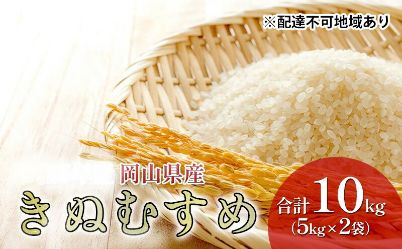 【ふるさと納税】米 きぬむすめ 10kg（5kg×2袋） 令和5年産 岡山県産 米 お米 白米　【 ライス ブランド米 銘柄米 ご飯 おにぎり お弁当 主食 食卓 和食 日本食 もちもち ツヤ 旨み 特A 】