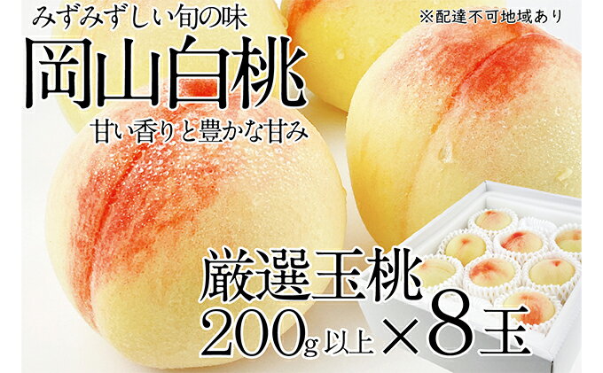 【ふるさと納税】桃 2024年 先行予約 岡山の白桃 200g以上×8玉 白桃 旬 みずみずしい 晴れの国 おかやま 岡山県産 フルーツ王国 果物王国　【 果物 フルーツ デザート おやつ みずみずしい 果汁 】　お届け：2024年7月上旬～2024年7月下旬