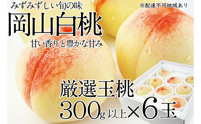 【ふるさと納税】桃 2024年 先行予約 岡山の白桃 300g以上×6玉 白桃 旬 みずみずしい 晴れの国 おかやま 岡山県産 フルーツ王国 果物王国　【 果物 フルーツ デザート おやつ みずみずしい 果汁 】　お届け：2024年7月上旬～2024年7月下旬