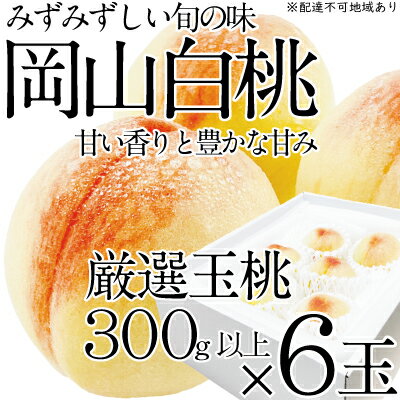 【ふるさと納税】桃 2024年 先行予約 岡山の白桃 300g以上×6玉 白桃 旬 みずみずしい 晴れの国 おかやま 岡山県産 フルーツ王国 果物王国　【 果物 フルーツ デザート おやつ みずみずしい 果汁 】　お届け：2024年7月上旬～2024年7月下旬