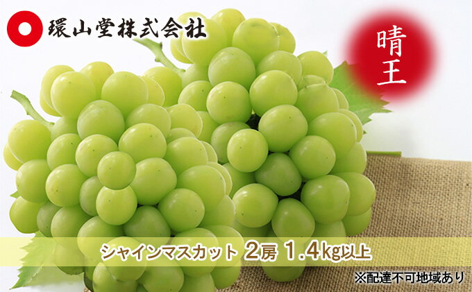 【ふるさと納税】ぶどう 2024年 先行予約 シャイン マスカット 晴王 2房 合計1.4kg以上 マスカット ブドウ 葡萄 岡山県産 国産 フルーツ 果物 ギフト 環山堂　【 おやつ 大粒 種無し 甘い 豊潤 皮ごと 高糖度 贈り物 】　お届け：2024年9月上旬～2024年10月上旬