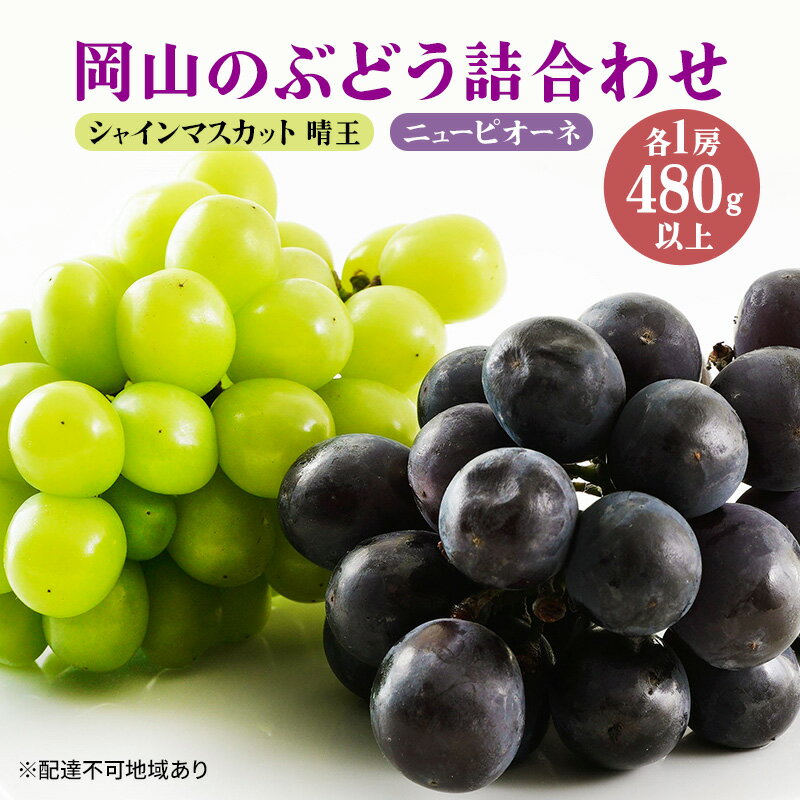 【ふるさと納税】ぶどう 2024年 先行予約 果物 詰合せ ニュー ピオーネ 1房480g以上 シャイン マスカ...