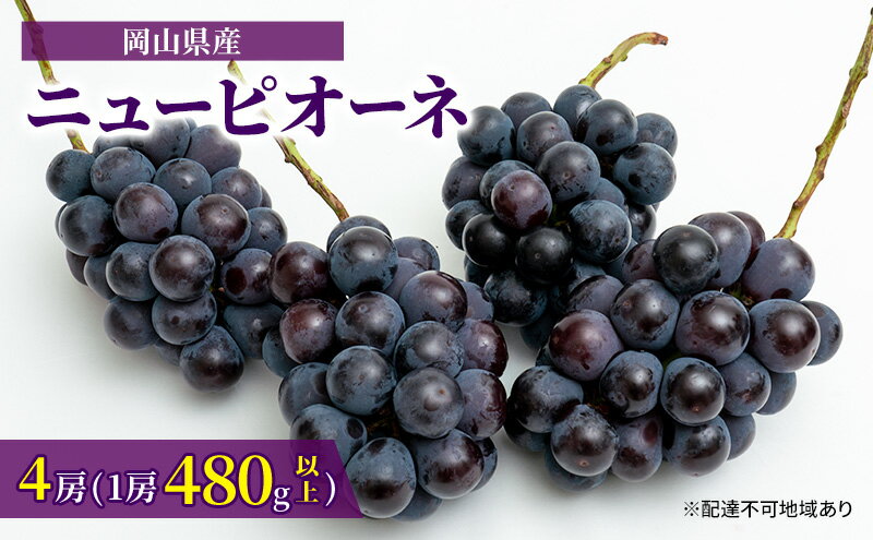 【ふるさと納税】ぶどう 2024年 先行予約 ニュー ピオーネ 4房（1房480g以上）約2kg ブドウ 葡萄 岡山県産 国産 フルーツ 果物 ギフト　【 果物 フルーツ デザート 食後 強い甘み 皮離れがいい 爽やか 】　お届け：2024年8月下旬～2024年10月上旬