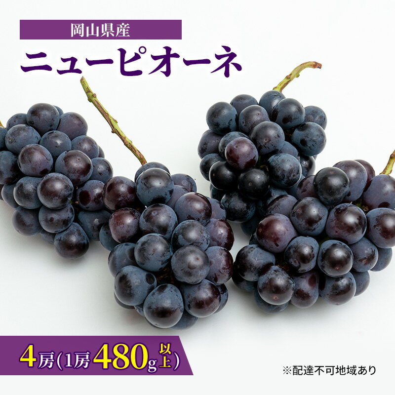 ぶどう 2024年 先行予約 ニュー ピオーネ 4房（1房480g以上）約2kg ブドウ 葡萄 岡山県産 国産 フルーツ 果物 ギフト　【 果物 フルーツ デザート 食後 強い甘み 皮離れがいい 爽やか 】　お届け：2024年8月下旬～2024年10月上旬