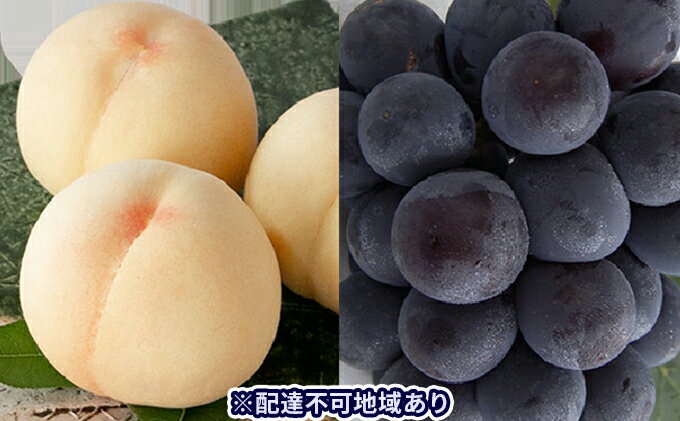 【ふるさと納税】桃 ぶどう 2024年 先行予約 清水 白桃 5玉 約1.5kg 1玉約300g ニュー ピオーネ 1房 550g以上もも 葡萄 詰合せ 岡山 国産 フルーツ 果物 ギフト 桃茂実苑 　【 果物 】　お届け：2024年7月中旬～2024年8月上旬