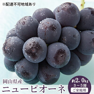 ڤդ뤵Ǽǡ 2024ǯ ͽ  ˥塼 ԥ 2.0kg 35˼ ֥ɥ ƺ   ե롼 ʪ ʪ ֤ɤ ե롼 ǥ   Ť ʤ γ ͵ Ҷ  ۡϤ2024ǯ8ܡ2024ǯ10