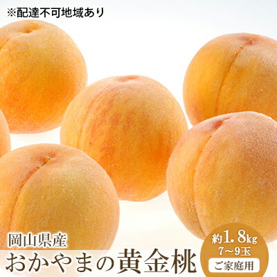 桃 2024年 先行予約 ご家庭用 おかやま の 黄金桃 約1.8kg（7～9玉） もも モモ 岡山県産 国産 フルーツ 果物　【 果物 デザート スイーツ フルーツ 大玉 果肉 美味しい 甘い 柔らかい フルーティー 】　お届け：2024年8月下旬～2024年9月中旬