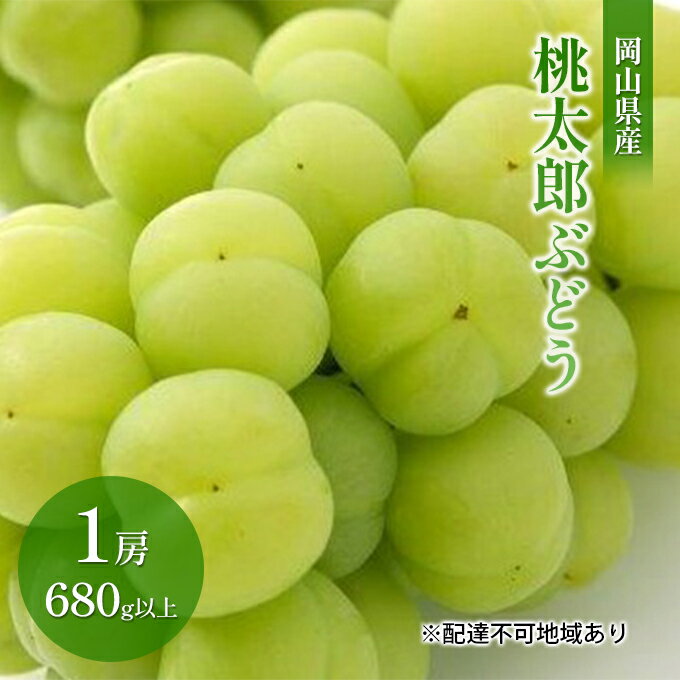 ぶどう 2024年 先行予約 桃太郎 ぶどう 1房 680g以上(無加温栽培)贈答用 ブドウ 葡萄 岡山県産 国産 フルーツ 果物 ギフト [ 果物 フルーツ 岡山のぶどう ] お届け:2024年9月上旬〜2024年10月中旬