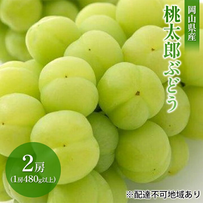 ぶどう 2024年 先行予約 桃太郎 ぶどう 2房（1房 480g以上 加温栽培）贈答用 ブドウ 葡萄 岡山県産 国産 フルーツ 果物 ギフト　【 果物 フルーツ 岡山のぶどう 】　お届け：2024年7月中旬～2024年8月中旬