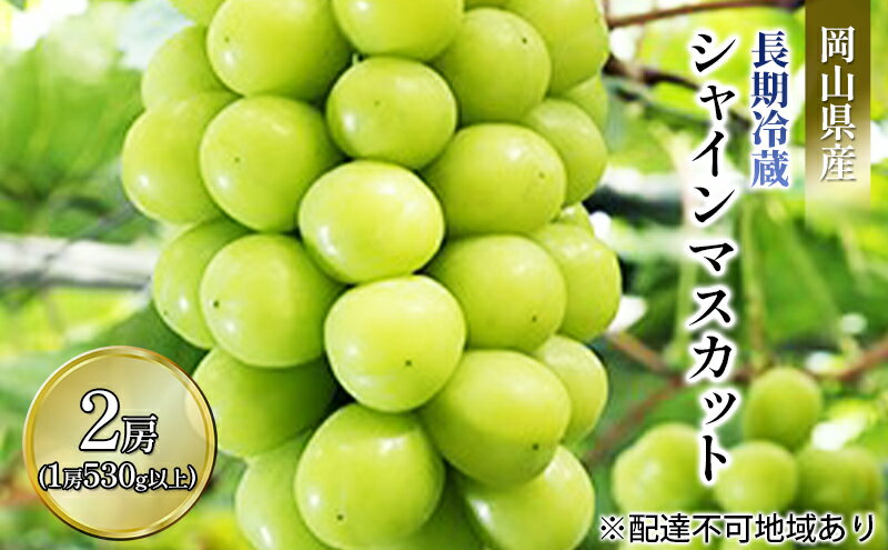【ふるさと納税】ぶどう 2024年 先行予約 シャイン マスカット 2房入り（1房 530g以上）長期冷蔵 ブドウ 葡萄 岡山県産 国産 フルーツ 果物 ギフト　【 果物 フルーツ 岡山のぶどう 】　お届け：2024年11月中旬～2024年12月中旬